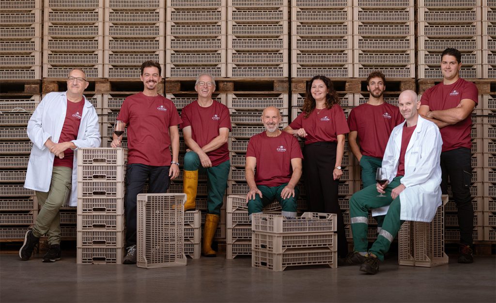 About us | Cesari | identity winery team posing in front of grape crates