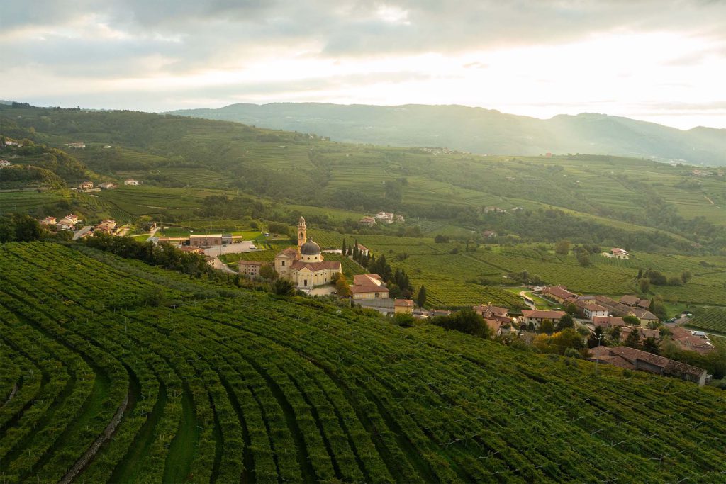 Territory | Cesari | Vineyards panorama Valpolicella from Marano